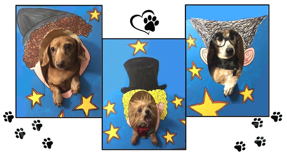Charlie, Lady, & Max 3 dogs Marx