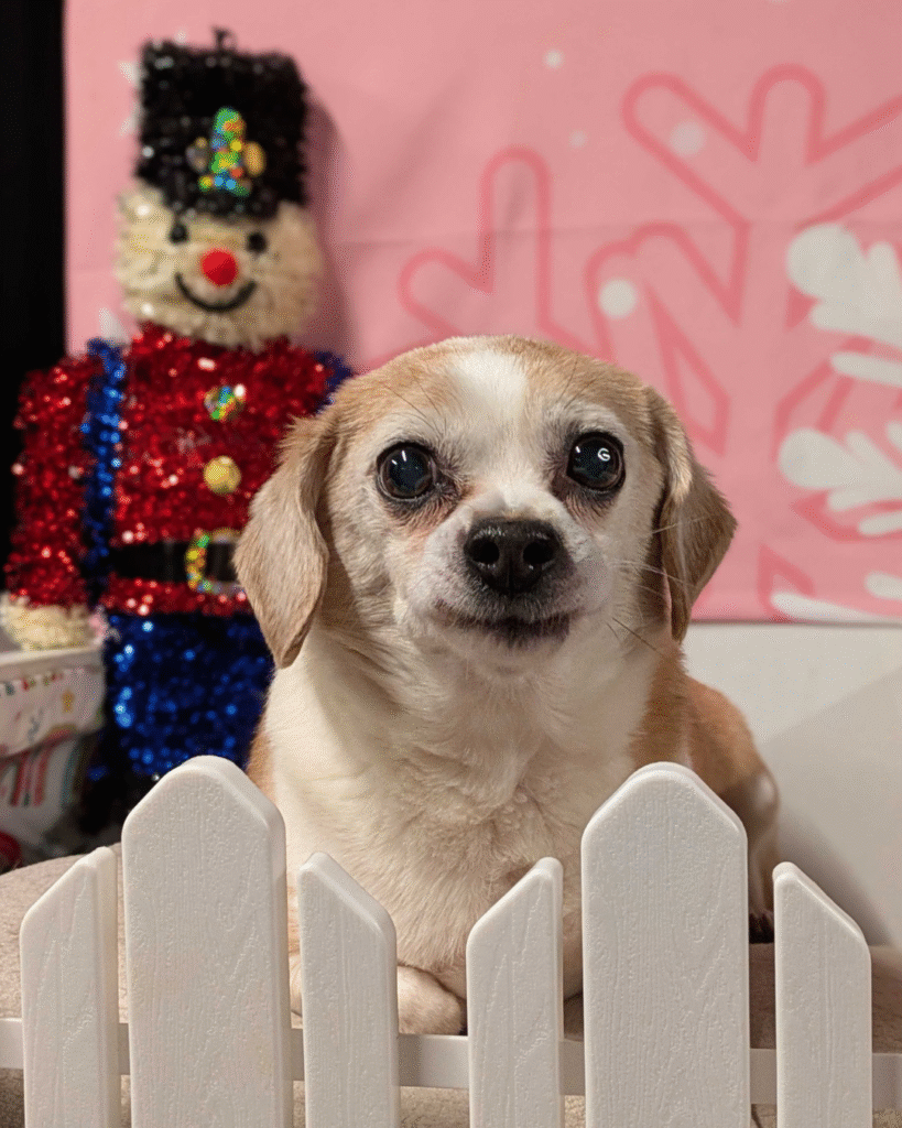 Untitled design (87)